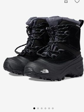 The North Face Kids Alpenglow V Waterproof Boots - Black